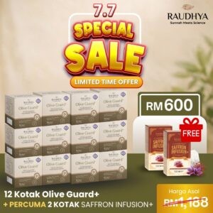 PAKEJ 12 KOTAK PROMOSI 7.7 (PALING LARIS)